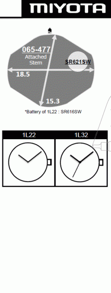 Citizen 1L22